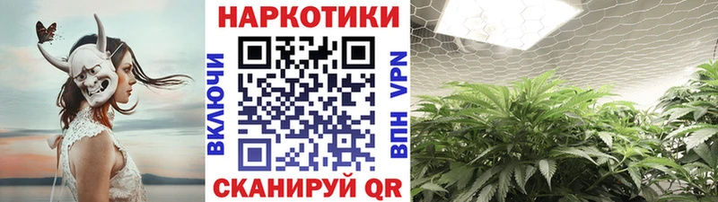 NBOMe Купино