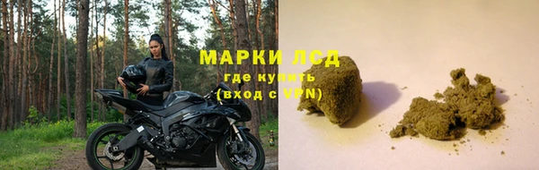 твердый Богданович