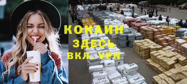 стафф Богородицк