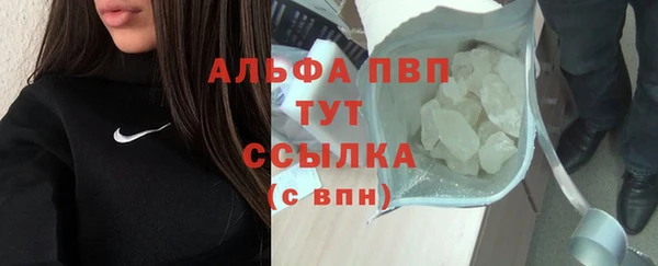 прущие грибы Белокуриха