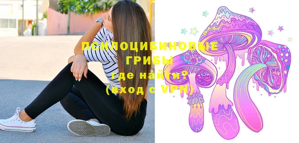 прущие грибы Белокуриха