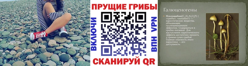 Галлюциногенные грибы мицелий даркнет сайт Купино